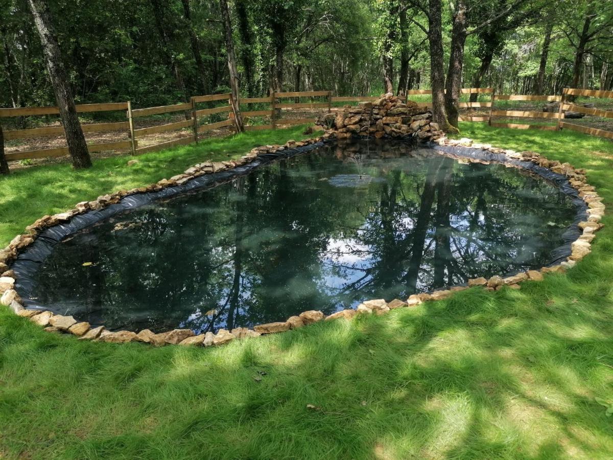 7-Gite-7 Personnes Au Coeur De La Nature /Piscine Saint-Aubin-de-Nabirat 외부 사진