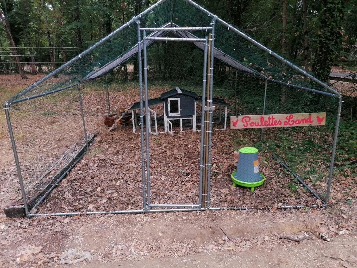 7-Gite-7 Personnes Au Coeur De La Nature /Piscine Saint-Aubin-de-Nabirat 외부 사진